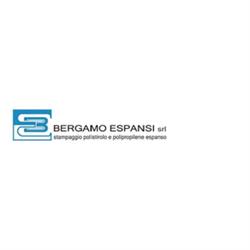 Bergamo Espansi srl