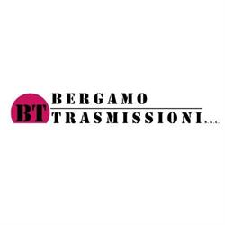 Bergamo Trasmissioni