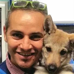 Bernacchia Dr. Stefano Ambulatorio Veterinario