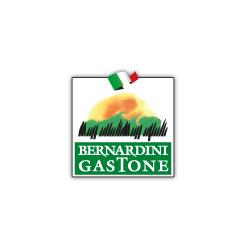 Bernardini Gastone