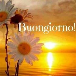 Gastronomia Nuova Bertazzoni