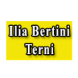 Autodemolizioni Bertini Ilia