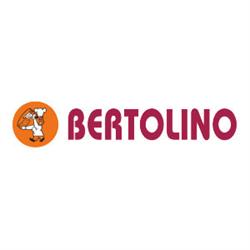 Bertolino
