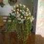 Negozio di Fiori