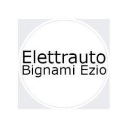 Elettrauto Bignami