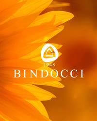 Bindocci