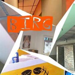 Birg Controsoffitti