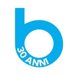 Bitnet Web Agency