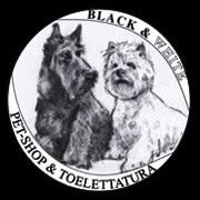 Black e White Toelettatura