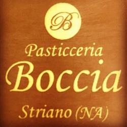 Boccia Michele