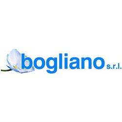 Bogliano