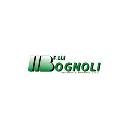 Bognoli F.lli Claudio E Roberto (s.n.c.)