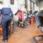 Gallery Professionale