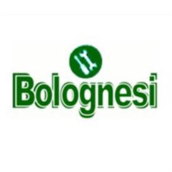 Bolognesi Roberto