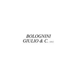 Bolognini Giulio e C.