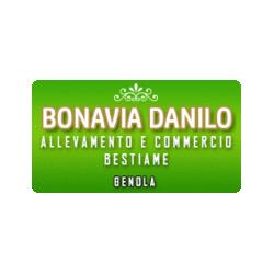 Bonavia Danilo