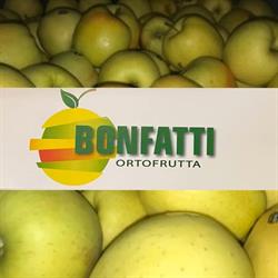 Bonfatti