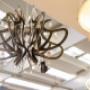 Gallery Professionale