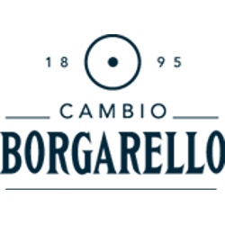 Cambio Borgarello