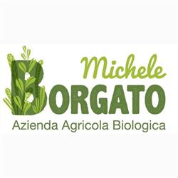 Borgato Michele
