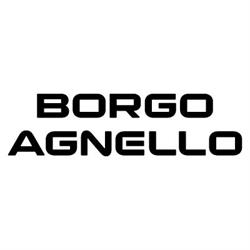 Fiat Professional Borgo Agnello