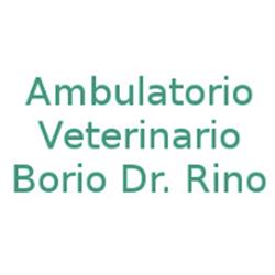 Borio Dr. Rino Ambulatorio Veterinario
