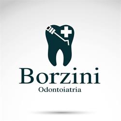 Borzini Sandro (Dr.)