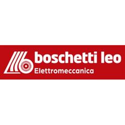 Boschetti Leo Elektromechanic