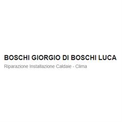 Boschi Giorgio  di Boschi Luca