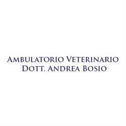 Andrea Bosio