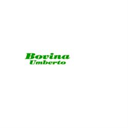Bovina Umberto