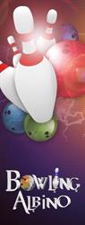 Bowling Albino SRL