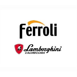 Bozzola e Sciutto - Assistenza Ferroli - Lamborghini