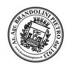 Brandolini Pietro