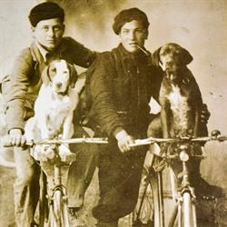 Eugenio Brezzi Tartufi & C. di Brezzi Valdimiro Snc