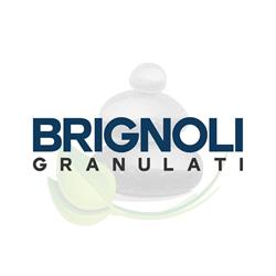Brignoli Dante Granulati (Srl)
