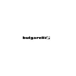 Bulgarelli
