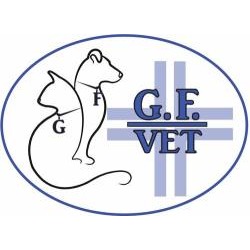 GF Vet ambulatorio veterinario