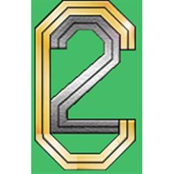 C 2