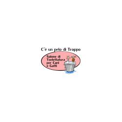 Toelettatura C'è Un Pelo di Troppo