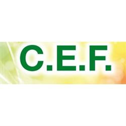 C.E.F. srl