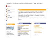 C.g. Service SRL