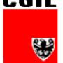 Cgil