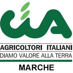 C.i.a. Service SRL