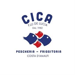 C.I.C.A. SNC