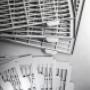 Gallery Professionale