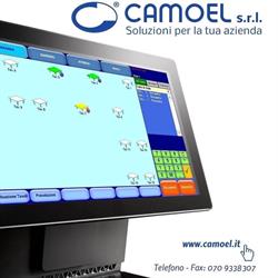 Camoel