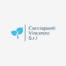 Cacciapuoti Vincenzo