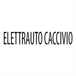 Elettrauto Caccivio