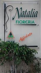 Cacciola Nicola